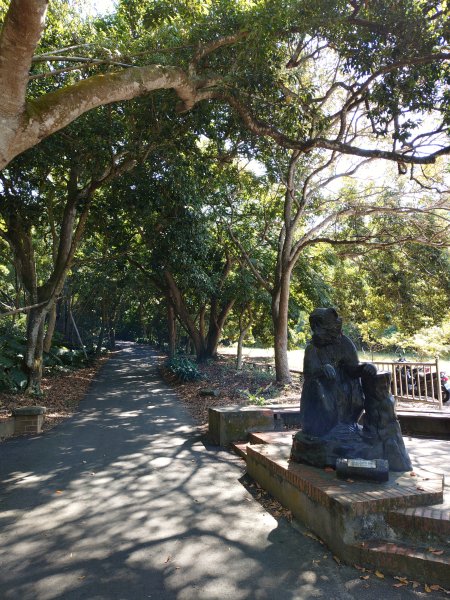 松柏嶺O形2908121