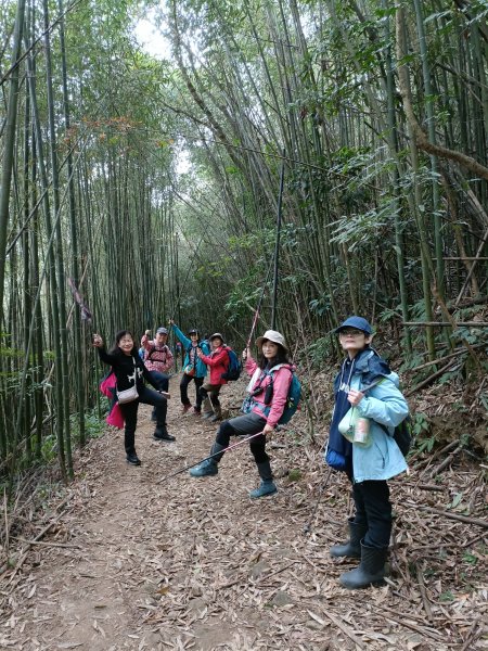 四訪苗栗的花果山-小百岳#037馬那邦山、雪霸國家公園管理處【小百岳集起來、苗栗-臺灣百大必訪步道】2394242
