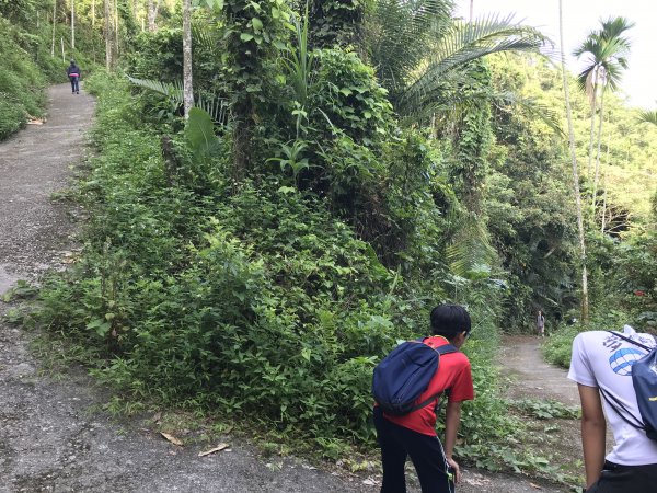 109年6月21日烏山紫竹寺-刣牛湖山1007437