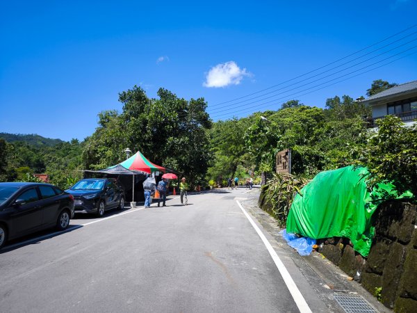 2024-08-22 澀水森林步道2578481