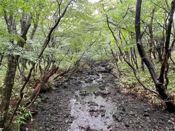 1140811 KR 漢拏山杜鵑花田避難所-紗羅岳觀景臺2860098