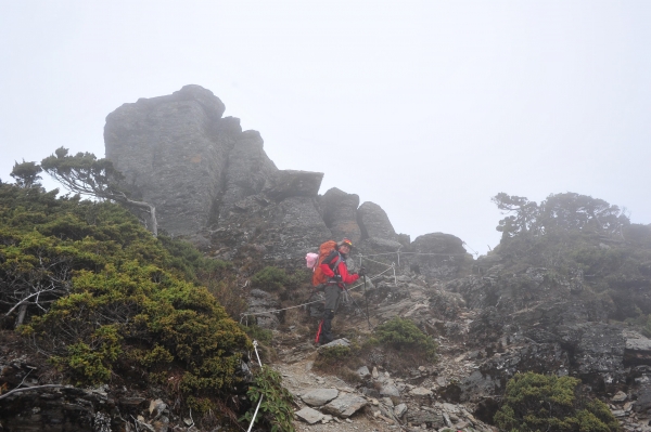 [春夏之際] 南湖大山、圈谷18222