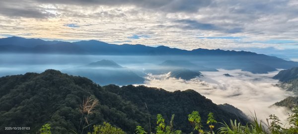 #馬那邦山 #琉璃光 #日出 #雲海 #山羌 #楓葉 10/25 & 11/12924608