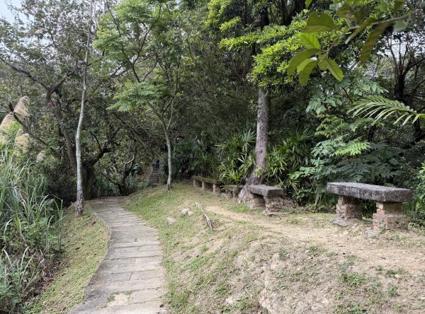 [微笑山線_第四段] 2026_0321 天上山系_三粒半3021084