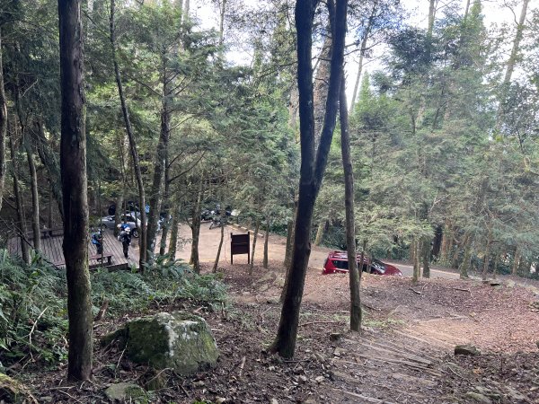 加里山 大坪登山口 杜鵑嶺 加里山P形1900969