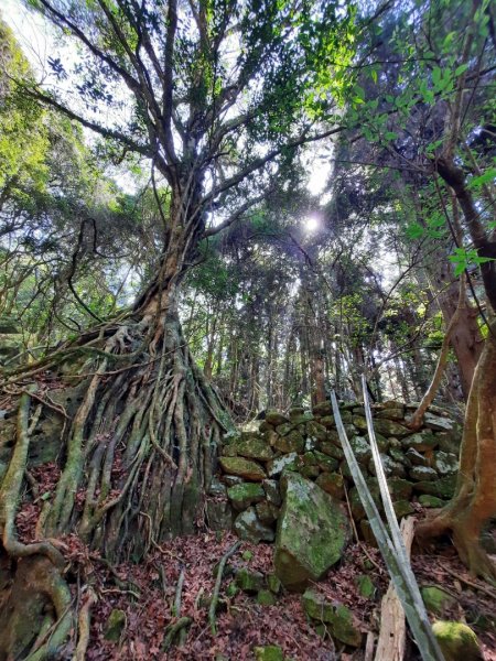 南庄加里山大坪大湳山麓2034088