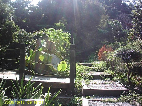 石岡區挑物古道+九房里古道O繞3133654