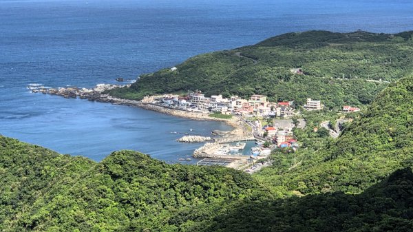 夏季的黃金十稜接九稜下門牙稜C型(草長路荒慎行)2880685