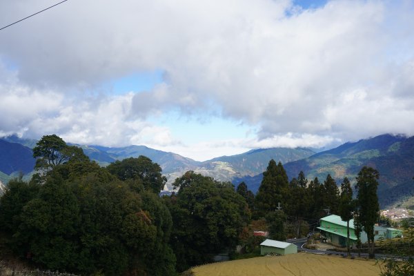 深秋。楓紅1190463