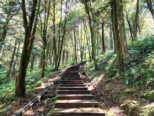 小百岳No.22⛰東眼山2568784