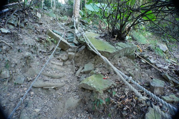 苗栗 泰安 上島山3023043