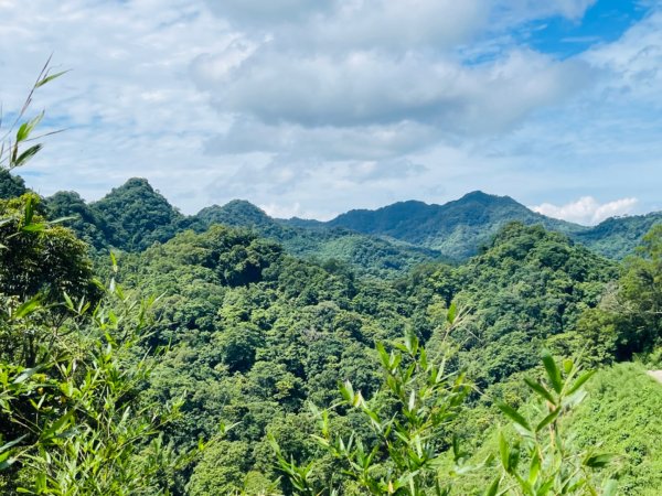 1140618鳴鳳古道｜錫隘-雲洞宮2815368