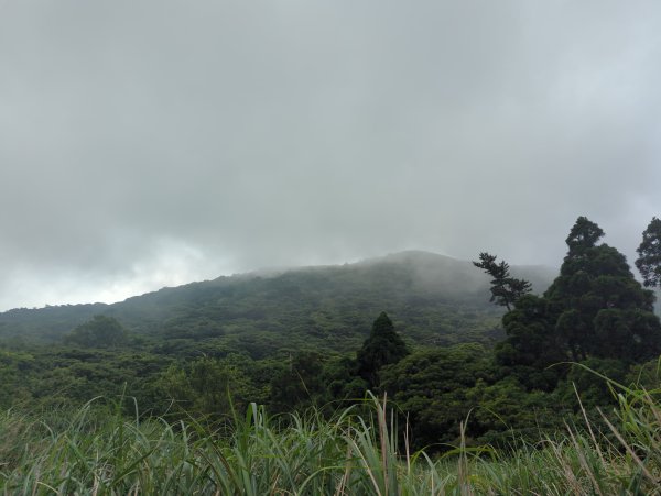 2025.05.17－大屯山步道下清天宮2790039