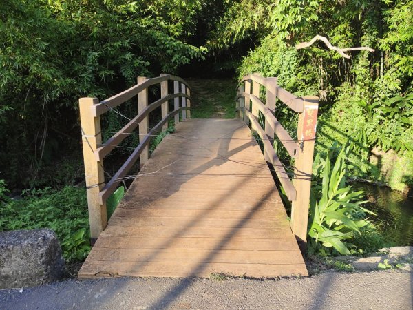 林口頂福巖森林步道2838113