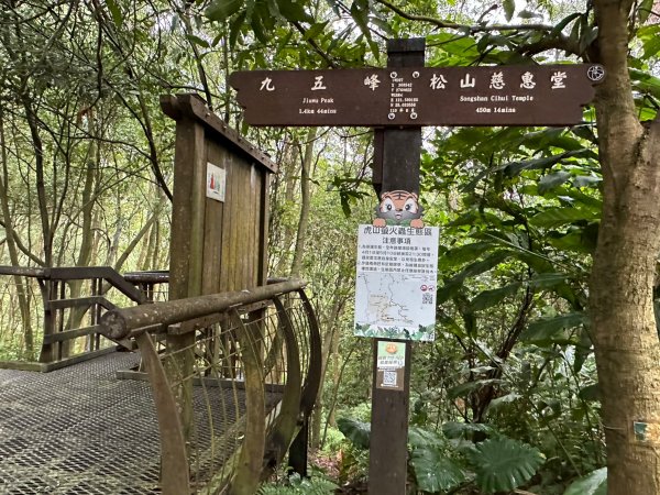 細雨中遠眺101登南港山2043816