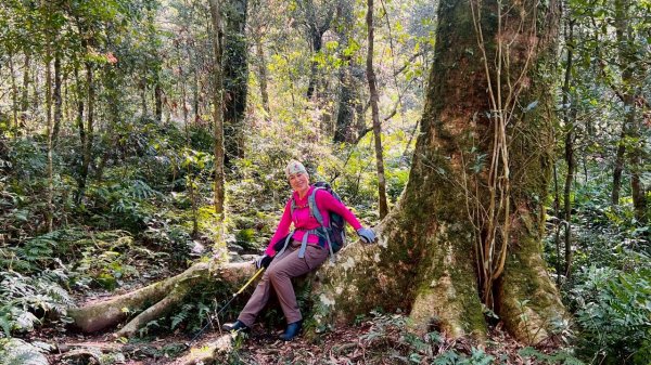 🌈3/14（六）赫威神木群+赫威山✨FB：熊熊趴爬走🌈3015372