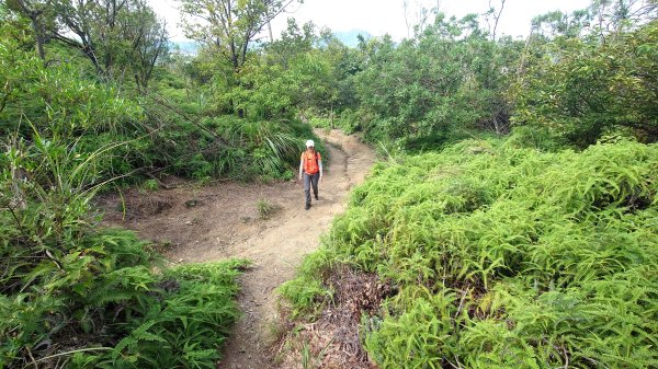 台北丹鳳山軍艦岩唭哩岸山奇岩山順走奇岩埤O型2763232