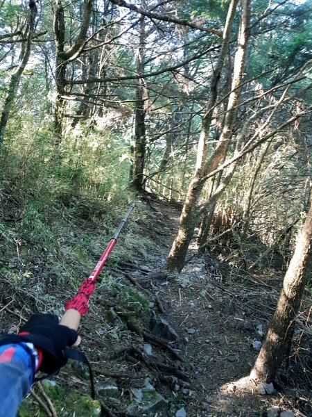 難忘的武陵四秀之品田山.池有山.桃山854219