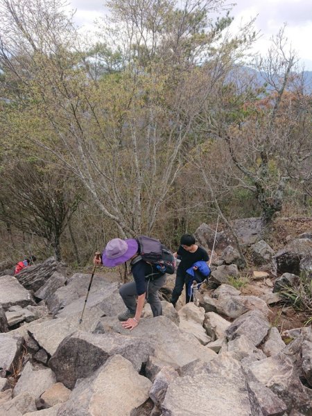 谷關七雄之五～東卯山1283071