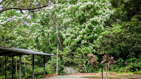 大尖山。走向2770855