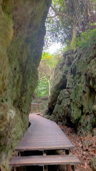 北柴山秘境之旅2754403