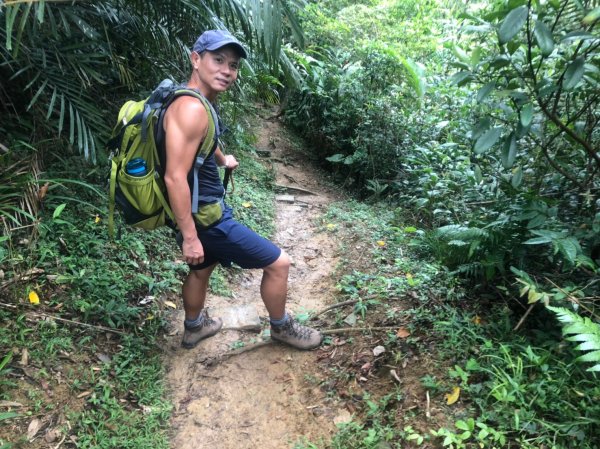 草嶺古道.灣坑頭山【颱風退散 強風來襲中1096479