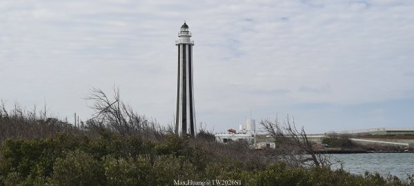 《彰化》海空夕照｜王功燈塔及芳苑海空步道健行賞冬候鳥202601102980244
