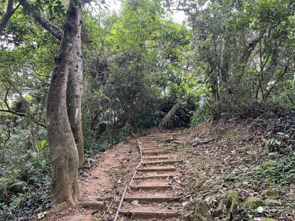 [微笑山線_第一段] 2025_0720 大棟山系_鎮遠山2843562