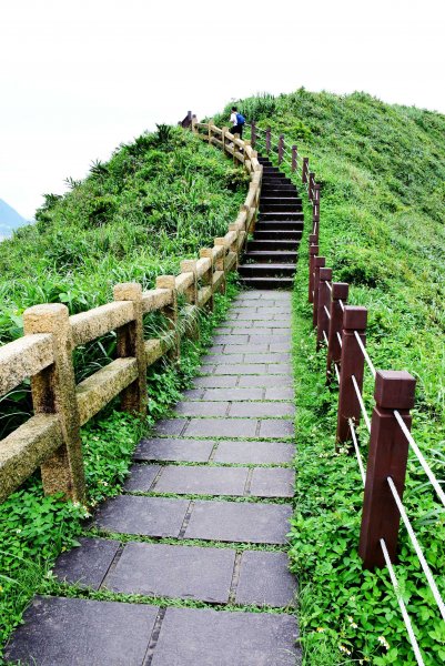 20190504鼻頭角步道  582825