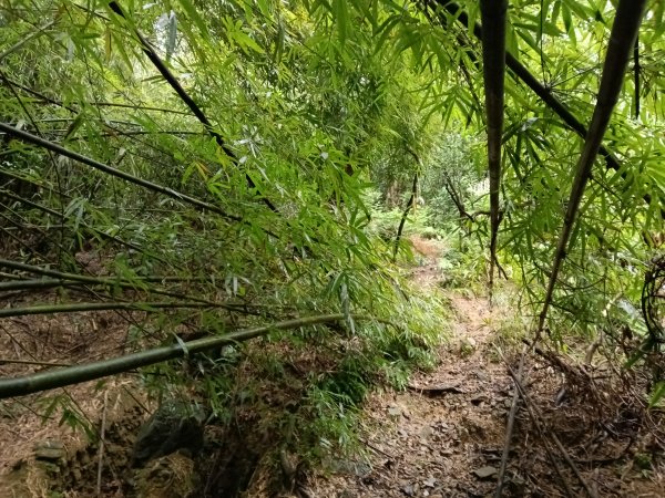 頭城鎮石城車站+隆嶺越嶺古道+隆嶺溪畔古道+福隆車站3002276