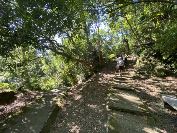 2025微笑山線大縱走尋寶集章任務-Ep.10【五分山系】菁桐煤礦段｜石筍尖 ×2914465