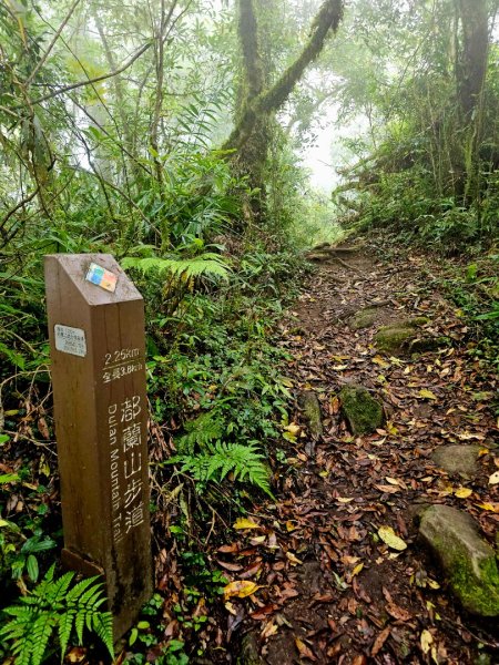 都蘭山-小百岳#93-台東縣東河鄉2779401