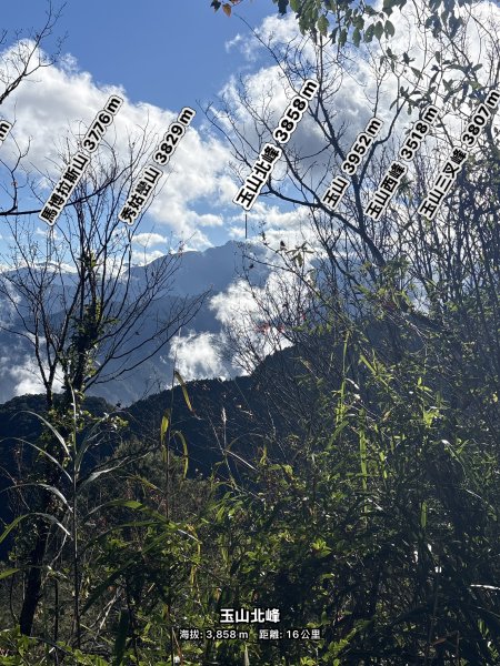 20251225塔山步道(大塔山)2970351