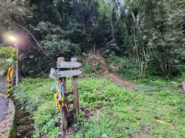 20250309高甫山彩和山大庭頂山金山O型2769605