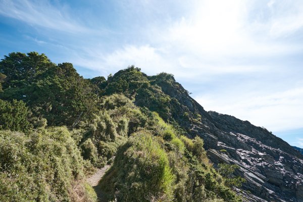 南橫三星兩日包車2882870