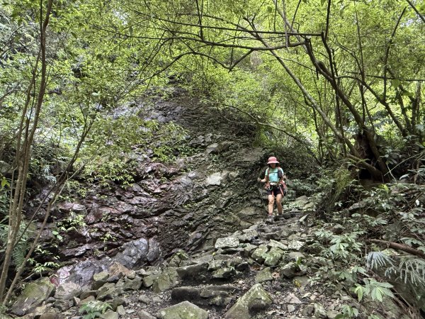 唐麻丹+蝴蝶谷O繞2887844