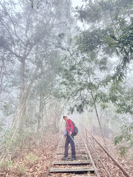 埔里撿基石-西關刀山西峰(貓頭山).牛眠山.三角嶺山(東南峰)  2024.12.142669871