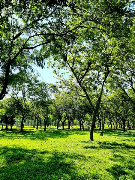 全臺齊步走｜碧潭、大安森林、大湖公園、淡水、花博、中正2230332