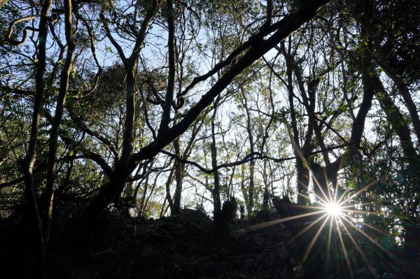 新北 新店 直潭山、二龍山2703900