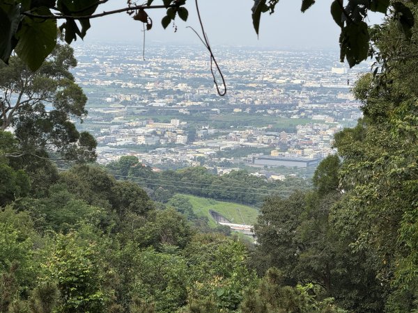 挑水古道附近古道串聯+藤山步道202505032784346