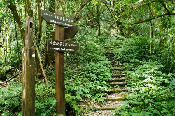 新北 烏來 波露南山3035989