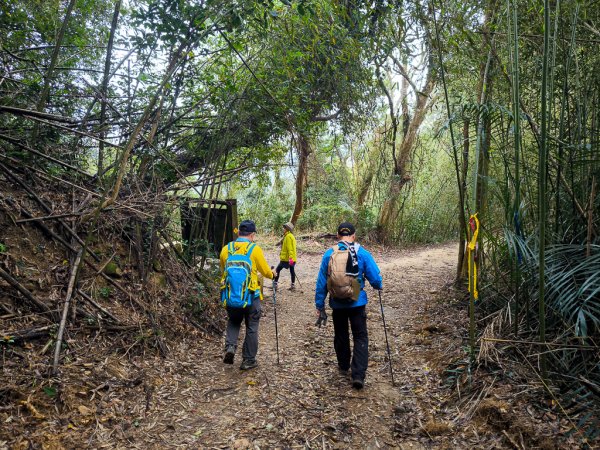 2025-03-08 汶水三山：金童山、汶水山、玉女山 連走2736564