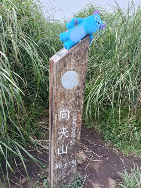 大屯群峰連走向天池，向天山，面天山1758955