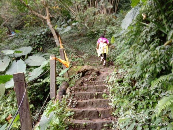 步道巡訪員 l 崁頭山步道巡訪員10月份巡禮1141549