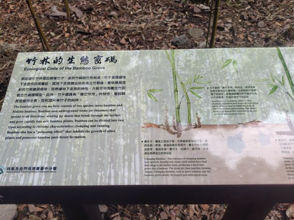 佳保台山3079393