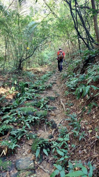 萬里瑪鋉山群峰古道行2763437