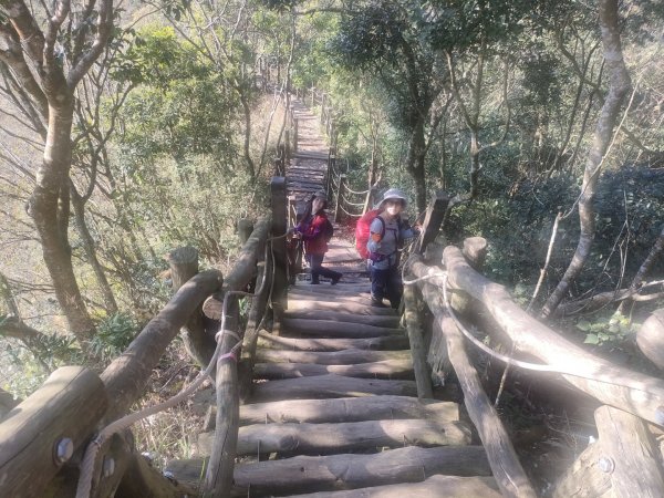 1110116 大坑四，五，三之一號步道O型一圈1584033