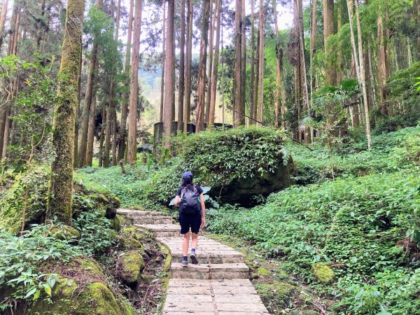 阿里山頂湖步道2625743