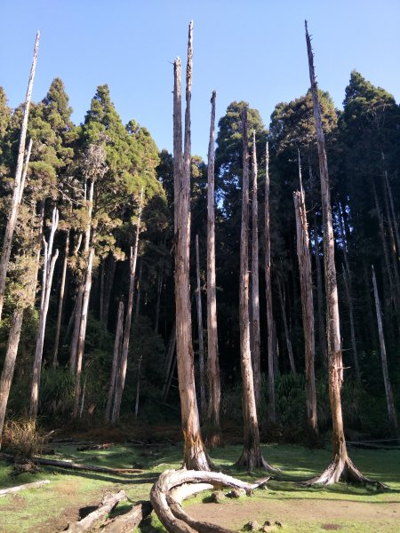 小百岳：金柑樹山1246101