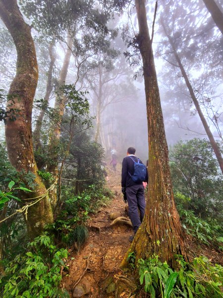 小百岳集起來-仙山2183043